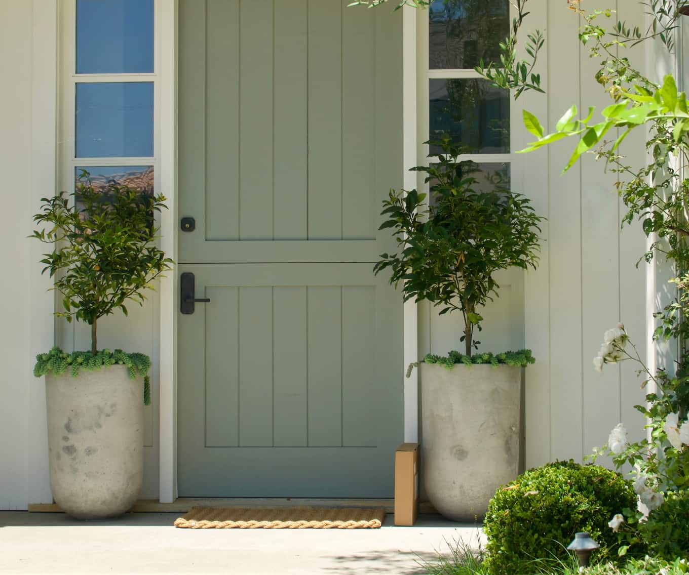 Green front door with a plant on each side